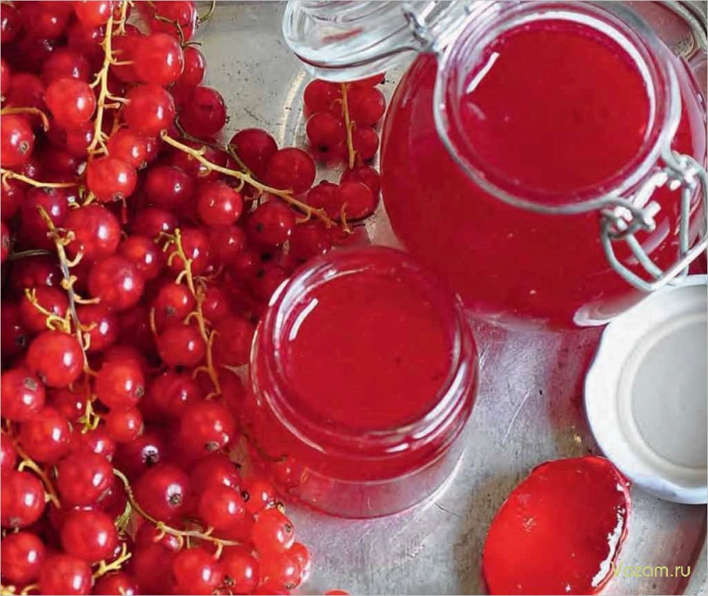 (приготовить, вкусное, полезное, желе, красной) Как приготовить вкусное и полезное желе из красной смородины для всей семьи