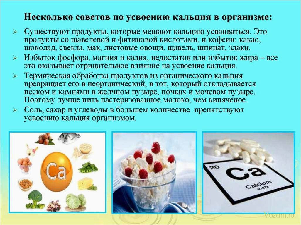 (сладкое, удовольствие, кладезью, витамина, кальция) Сладкое удовольствие с кладезью витамина C и кальция — полезные свойства и рецепты приготовления