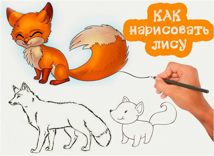 (рисуем, красивую, лису, карандашом) Рисуем красивую лису карандашом, даже если ты совсем не художник