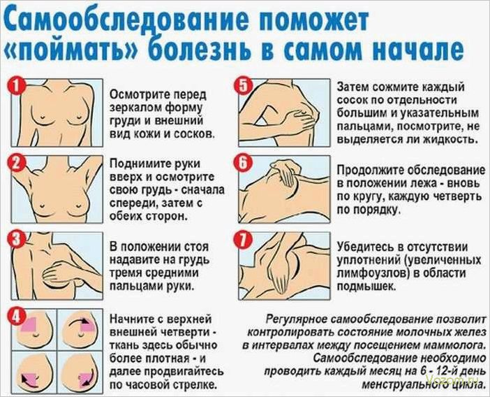 Регулярно обследуйте молочные железы — залог здоровья и предупреждение проблем 