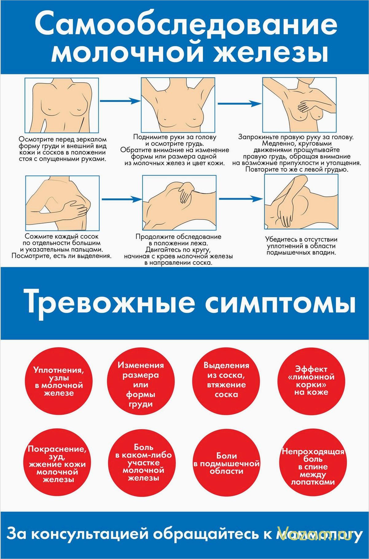 Регулярно обследуйте молочные железы — залог здоровья и предупреждение проблем 
